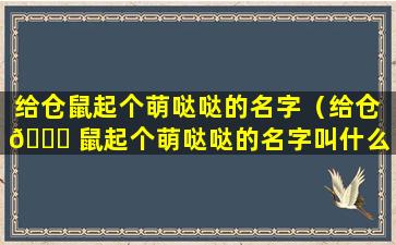 给仓鼠起个萌哒哒的名字（给仓 🐘 鼠起个萌哒哒的名字叫什么）